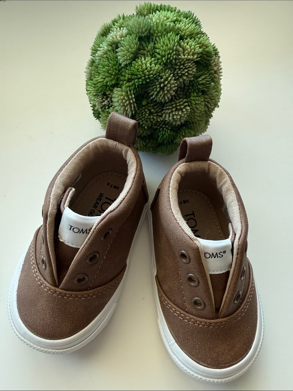 Toms Toddler Brown Slip-On Sneakers with White Sole